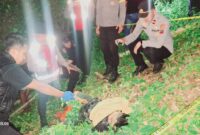 Personil Kepolisian Polres dan Polsek saat mengevakuasi pria asal dumoga yang meninggal di perkebunan Tombolikat Selatan. (foto: Istimewa)